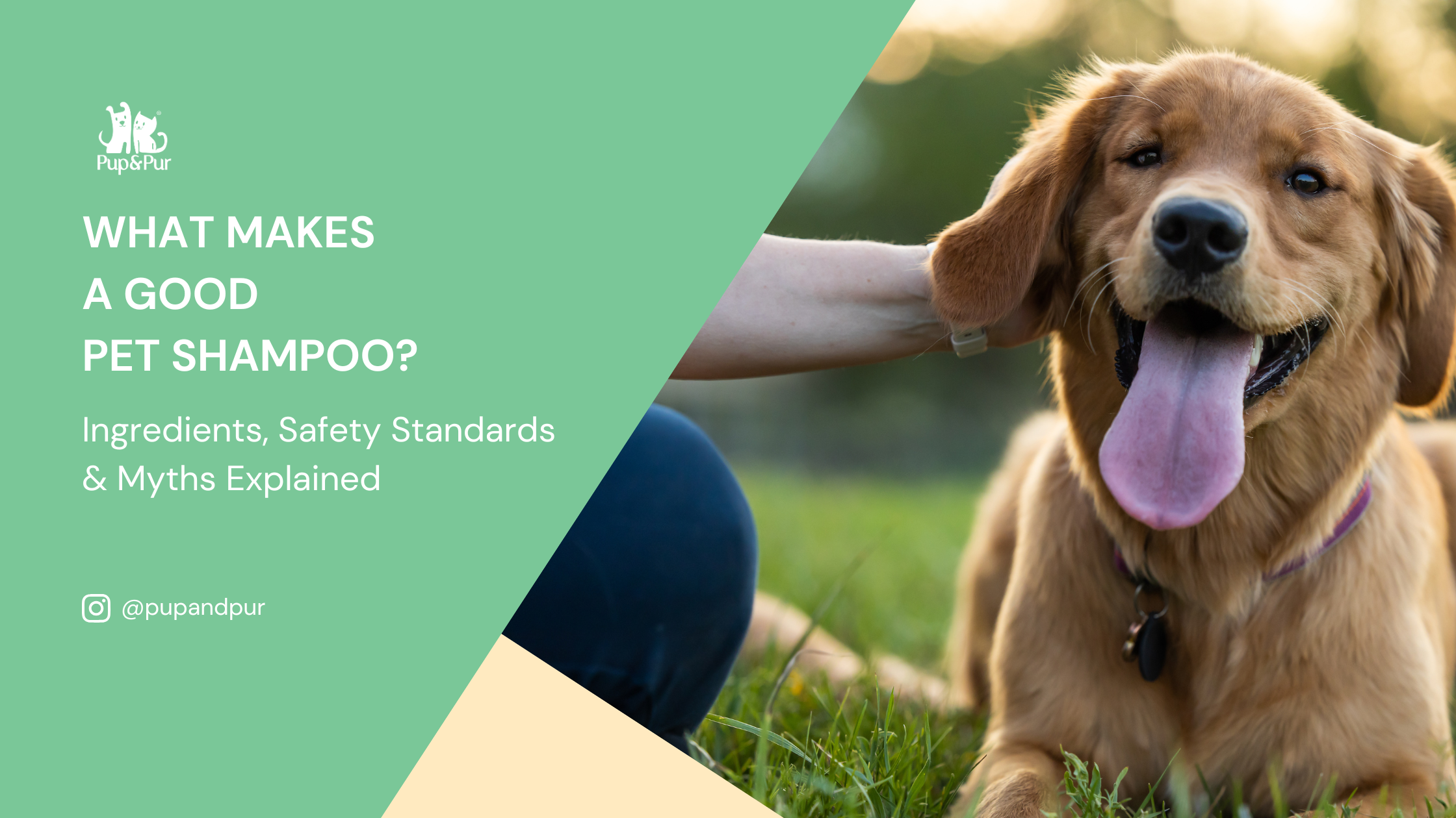 What Makes a Good Pet Shampoo? Ingredients, Safety Standards and Myths Explained