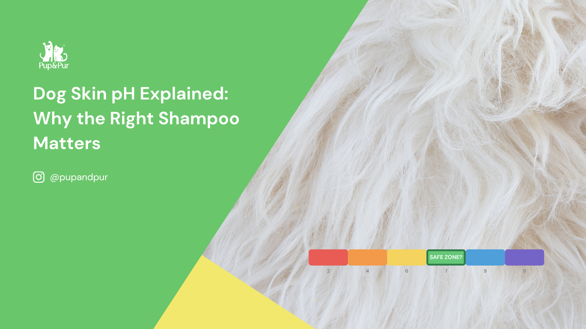 Dog Skin pH Explained: Why the Right Shampoo Matters