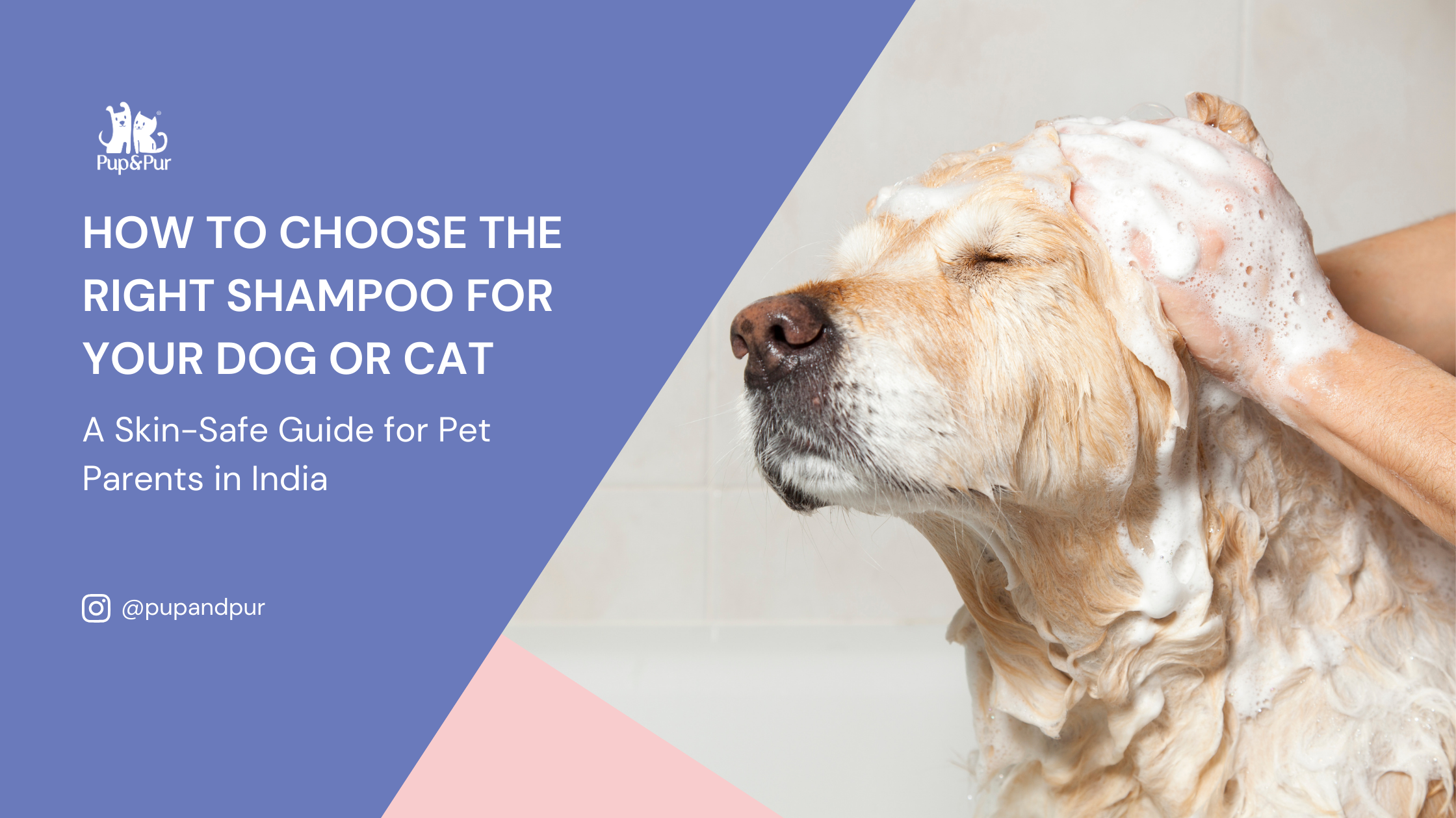 How to Choose the Right Shampoo for Your Dog or Cat