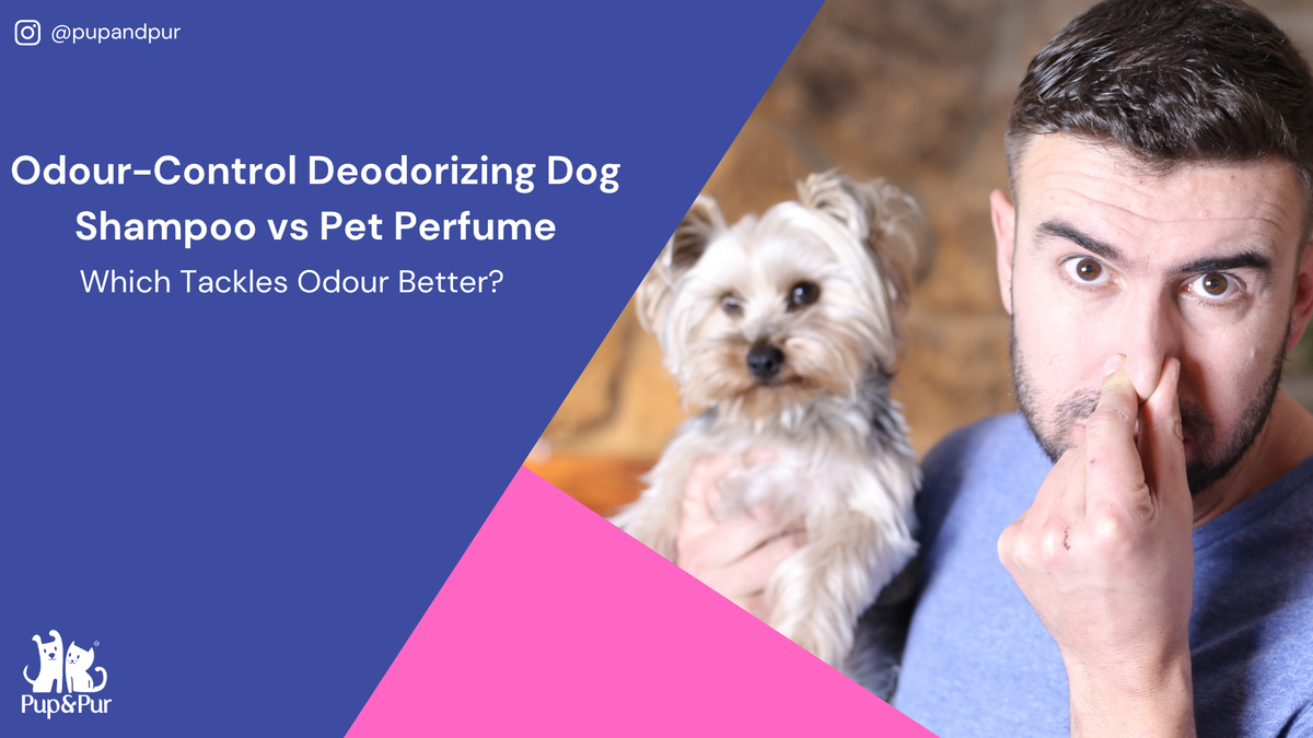 Deodorizing Dog Shampoo vs Pet Perfume: Which Tackles Odour Better?