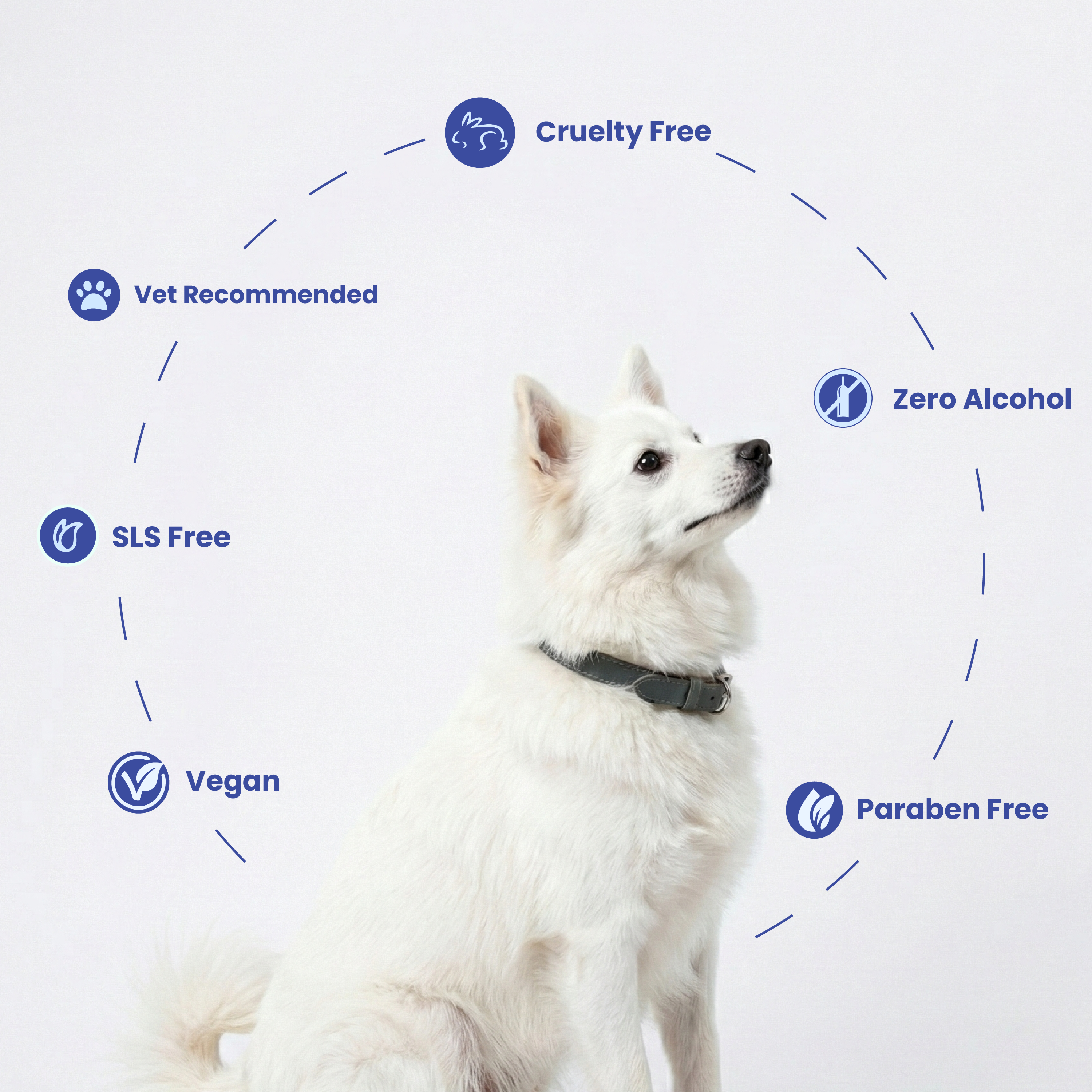 Pup & Pur Complete Care Conditioner for Dogs | Deep Moisturizing & Detangling | 100 ml