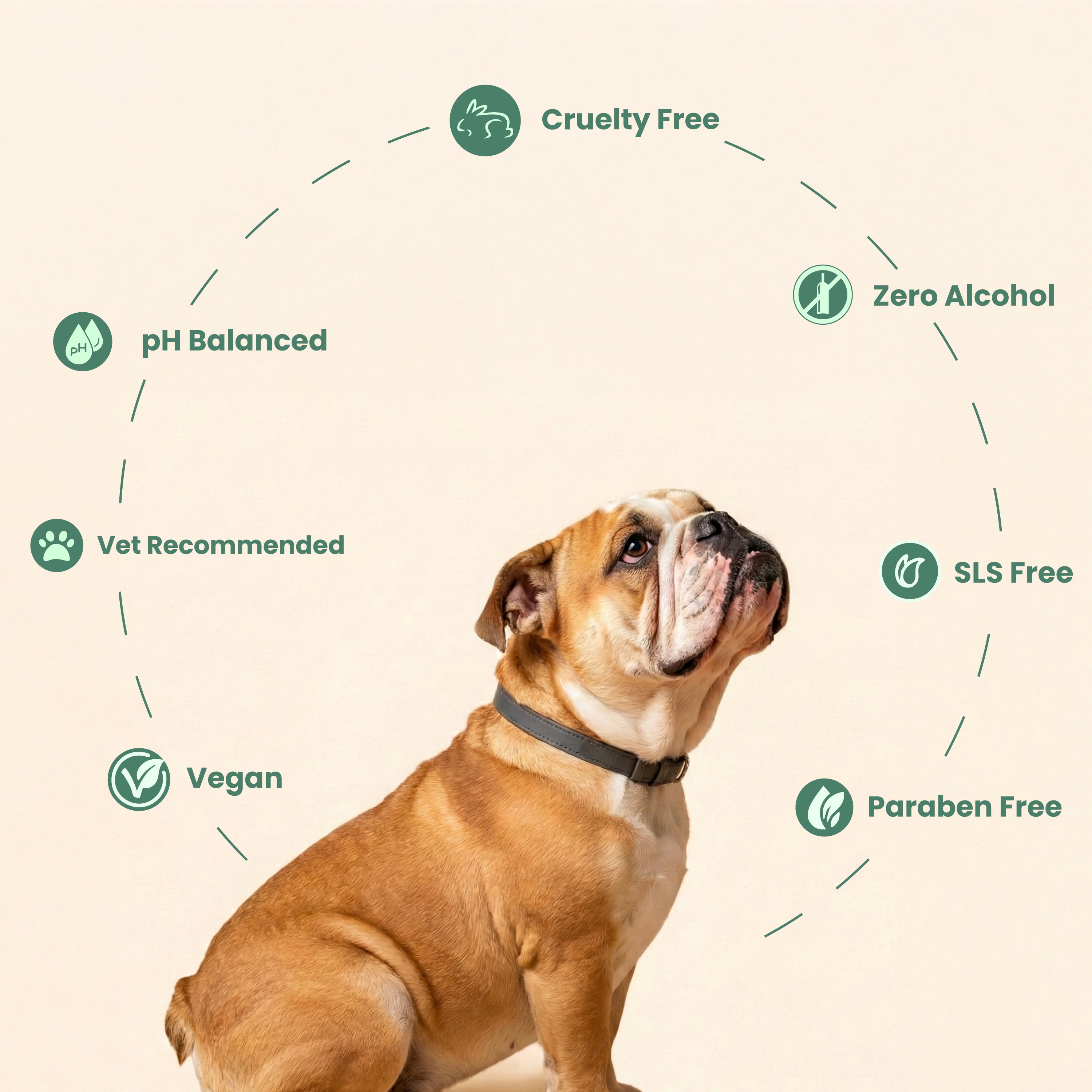 Pup & Pur Anti Tick & Flea Shampoo for Dogs & Cats | Neem Shampoo for pets | 200 ml