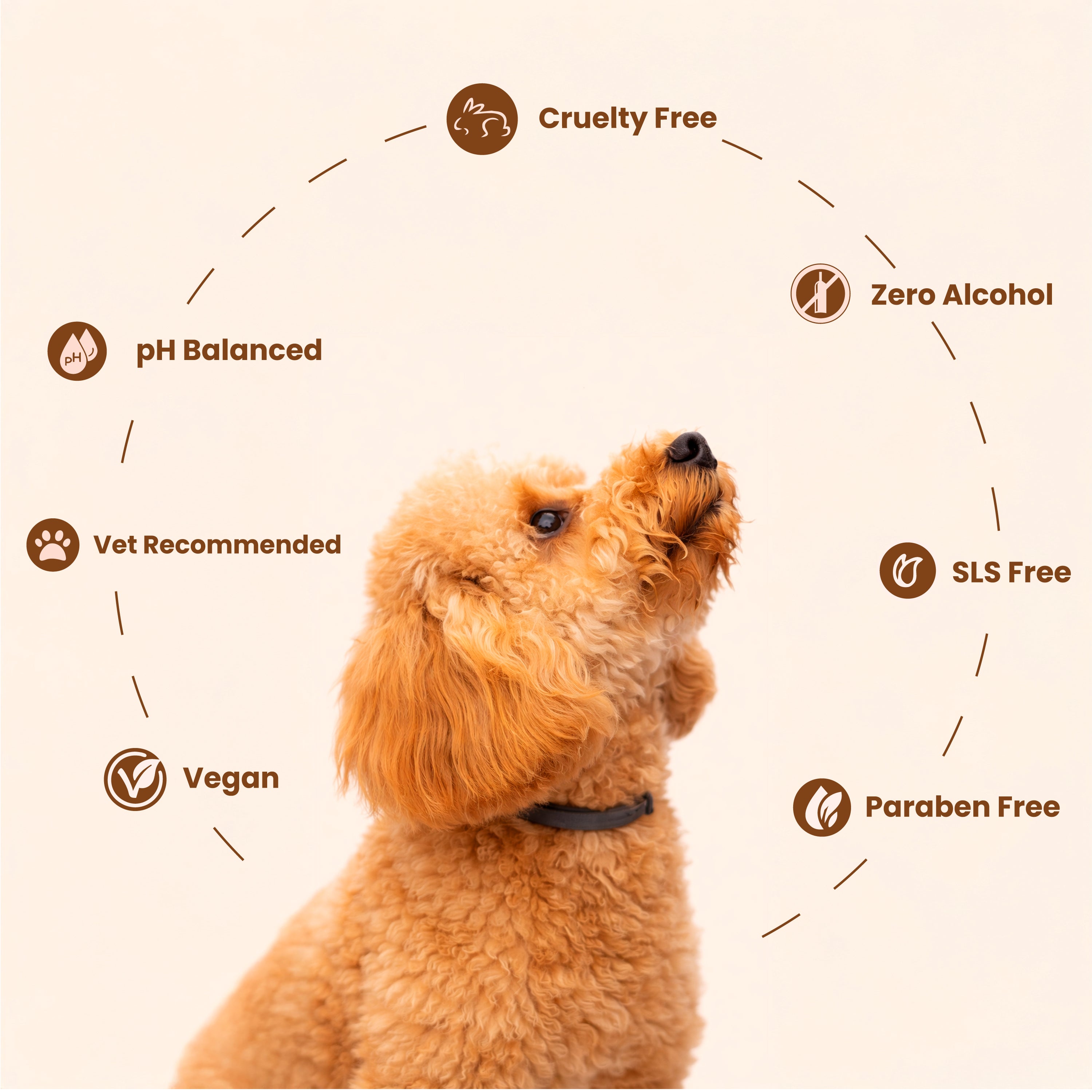 Pup & Pur Oatmeal Shampoo For Dogs & Cats | Pet Shampoo For Dry & Itchy Skin  | 200 ml